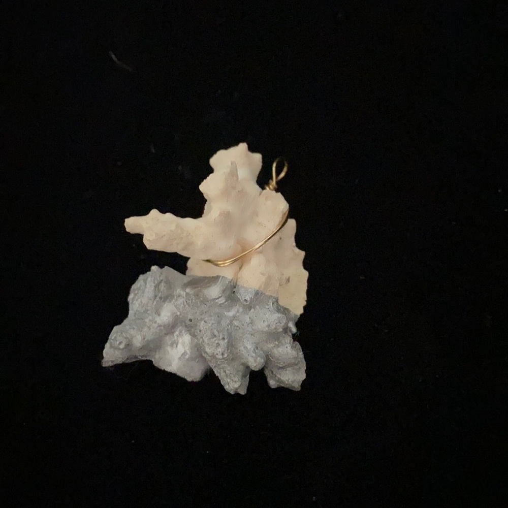 Coral pendant